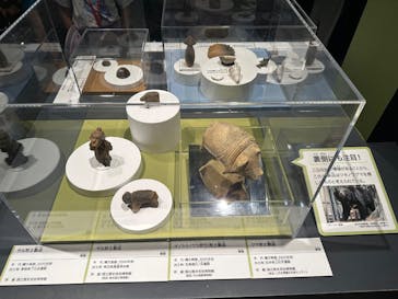 特別展「古代DNA－日本人のきた道」（国立科学博物館）に投稿された画像（2025/6/15）
