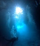 青の洞窟専門店　沖縄ダイビングショップ和に投稿された画像（2025/6/15）