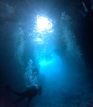 青の洞窟専門店　沖縄ダイビングショップ和に投稿された画像（2025/6/15）