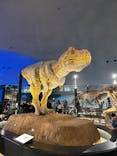 福井県立恐竜博物館に投稿された画像（2025/6/15）