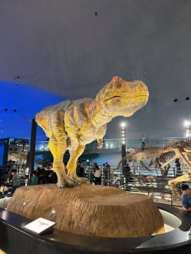 福井県立恐竜博物館に投稿された画像（2025/6/15）