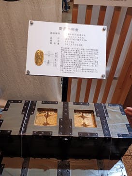 土肥金山に投稿された画像（2025/6/15）