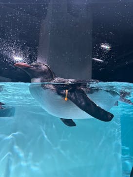 AOAO SAPPOROに投稿された画像（2025/6/15）