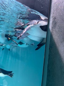 AOAO SAPPOROに投稿された画像（2025/6/15）