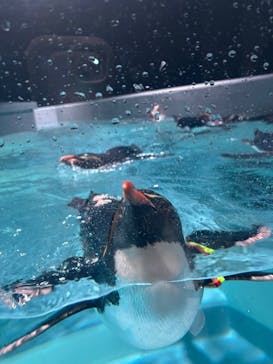 AOAO SAPPOROに投稿された画像（2025/6/15）