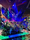 NARA KINGYO MUSEUMに投稿された画像（2025/6/15）