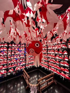 NARA KINGYO MUSEUMに投稿された画像（2025/6/15）