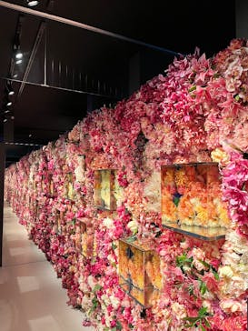 NARA KINGYO MUSEUMに投稿された画像（2025/6/15）