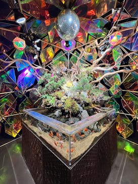 NARA KINGYO MUSEUMに投稿された画像（2025/6/15）