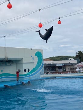 南知多ビーチランド＆南知多おもちゃ王国に投稿された画像（2025/6/15）