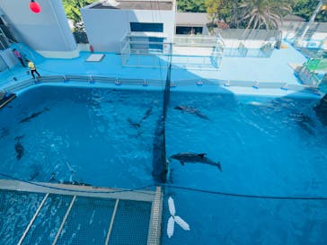 横浜・八景島シーパラダイス　プレジャーランドに投稿された画像（2025/6/15）
