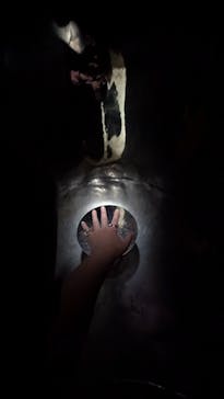 彫刻の森美術館に投稿された画像（2025/6/15）