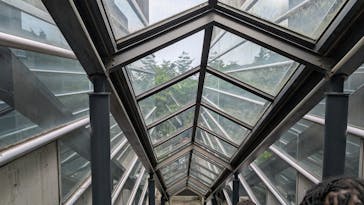 彫刻の森美術館に投稿された画像（2025/6/15）