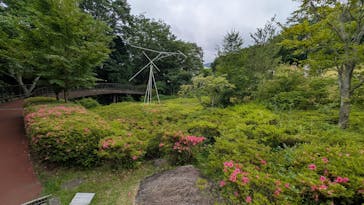 彫刻の森美術館に投稿された画像（2025/6/15）