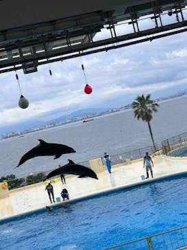 マリンワールド海の中道に投稿された画像（2025/6/15）