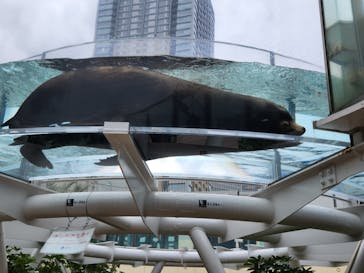 サンシャイン水族館に投稿された画像（2025/6/15）