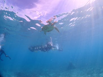 ちゃこたびに投稿された画像（2025/6/15）