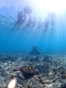 ちゃこたびに投稿された画像（2025/6/15）