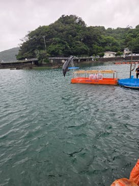 下田海中水族館に投稿された画像（2025/6/15）