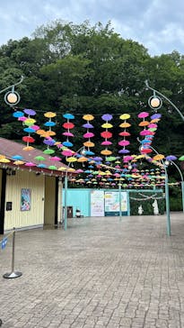 ムーミンバレーパークに投稿された画像（2025/6/15）