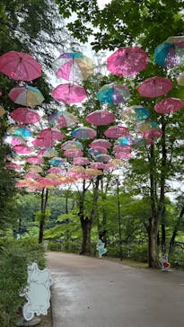 ムーミンバレーパークに投稿された画像（2025/6/15）