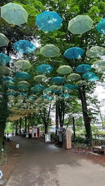 ムーミンバレーパークに投稿された画像（2025/6/15）