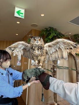 Moff animal cafe 小田原ダイナシティ店に投稿された画像（2025/6/15）