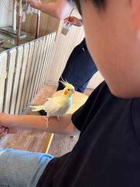 Moff animal cafe 小田原ダイナシティ店に投稿された画像（2025/6/15）