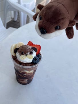 横浜・八景島シーパラダイス　プレジャーランドに投稿された画像（2025/6/15）