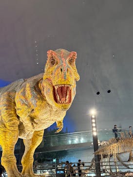 福井県立恐竜博物館に投稿された画像（2025/6/15）