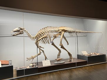 福井県立恐竜博物館に投稿された画像（2025/6/15）