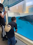 新江ノ島水族館に投稿された画像（2025/6/15）