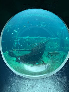 箱根園水族館に投稿された画像（2025/6/15）