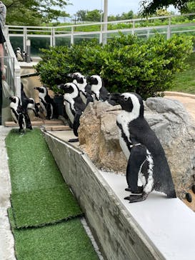 マリンワールド海の中道に投稿された画像（2025/6/15）