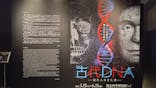 特別展「古代DNA－日本人のきた道」（国立科学博物館）に投稿された画像（2025/6/15）
