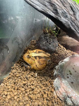 サンシャイン水族館に投稿された画像（2025/6/15）