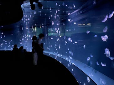 サンシャイン水族館に投稿された画像（2025/6/15）