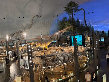 福井県立恐竜博物館に投稿された画像（2025/6/15）