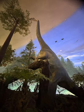 福井県立恐竜博物館に投稿された画像（2025/6/15）