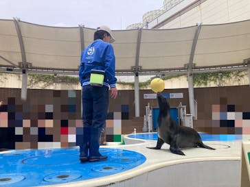 サンシャイン水族館に投稿された画像（2025/6/15）