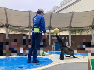 サンシャイン水族館に投稿された画像（2025/6/15）