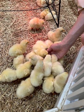 アニタッチららぽーと名古屋みなとアクルスに投稿された画像（2025/6/15）