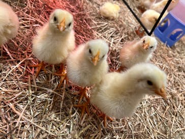 アニタッチららぽーと名古屋みなとアクルスに投稿された画像（2025/6/15）