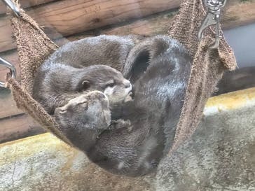 伊豆・三津シーパラダイスに投稿された画像（2025/6/15）