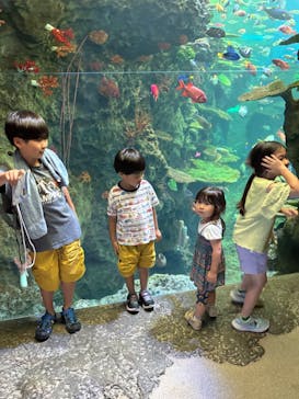 鴨川シーワールドに投稿された画像（2025/6/15）