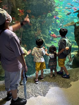 鴨川シーワールドに投稿された画像（2025/6/15）