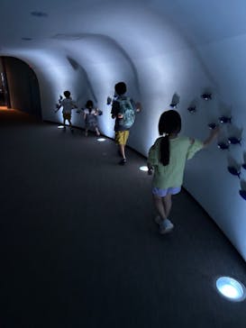 鴨川シーワールドに投稿された画像（2025/6/15）