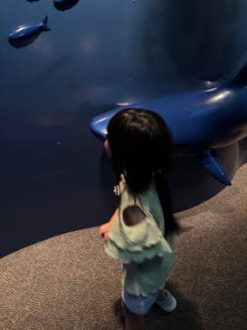 鴨川シーワールドに投稿された画像（2025/6/15）