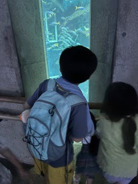 鴨川シーワールドに投稿された画像（2025/6/15）