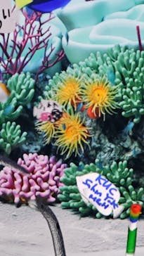 鴨川シーワールドに投稿された画像（2025/6/15）